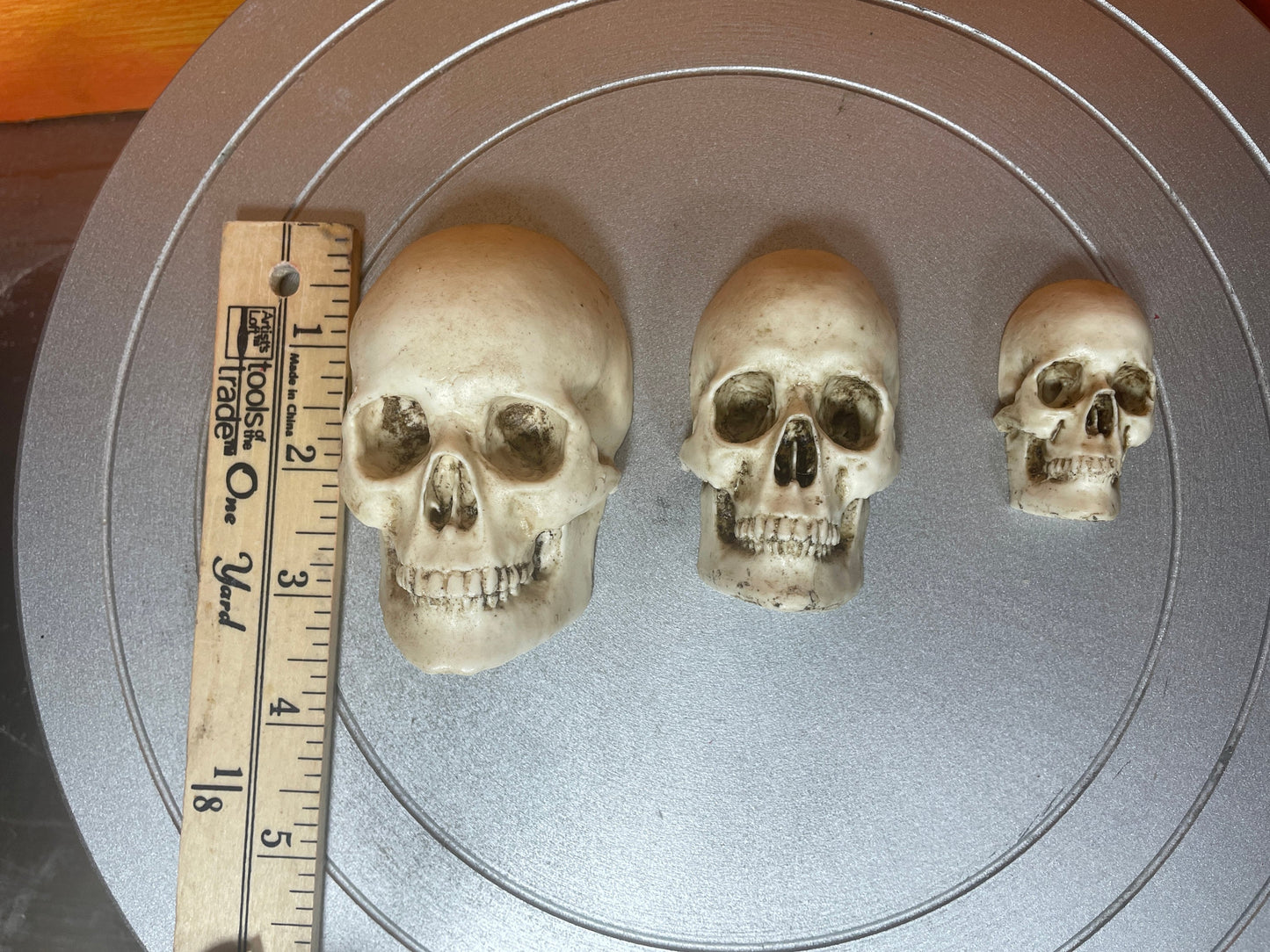 Realistic resin skulls for decoration