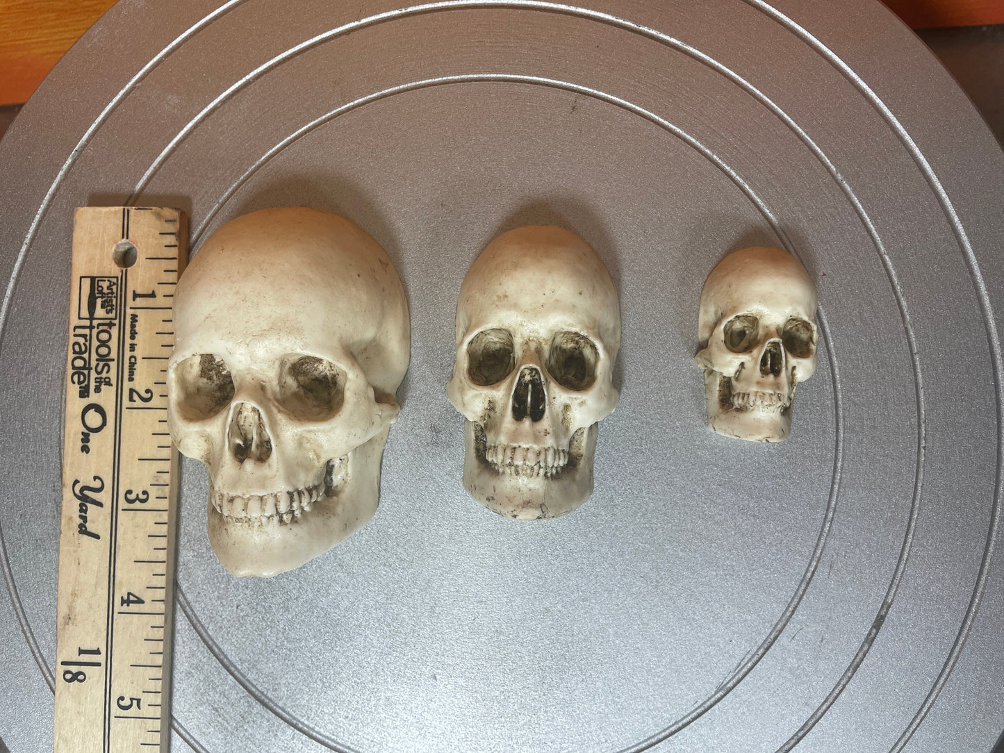 Realistic resin skulls for decoration