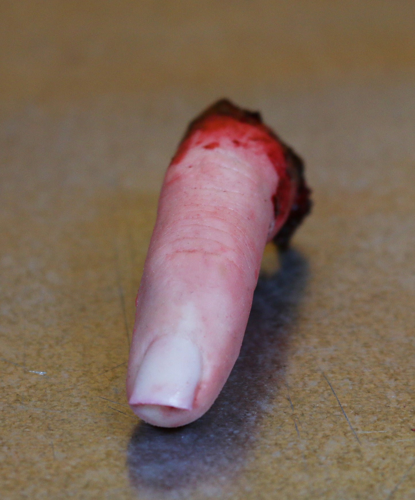 Bloody severed finger. Halloween decoration, creepy gift, pranks or horror prop