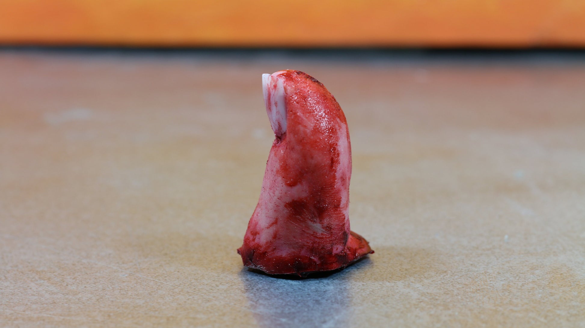 Big toe severed and bloody. Perfect Halloween decoration, creepy gift, prank or horror prop