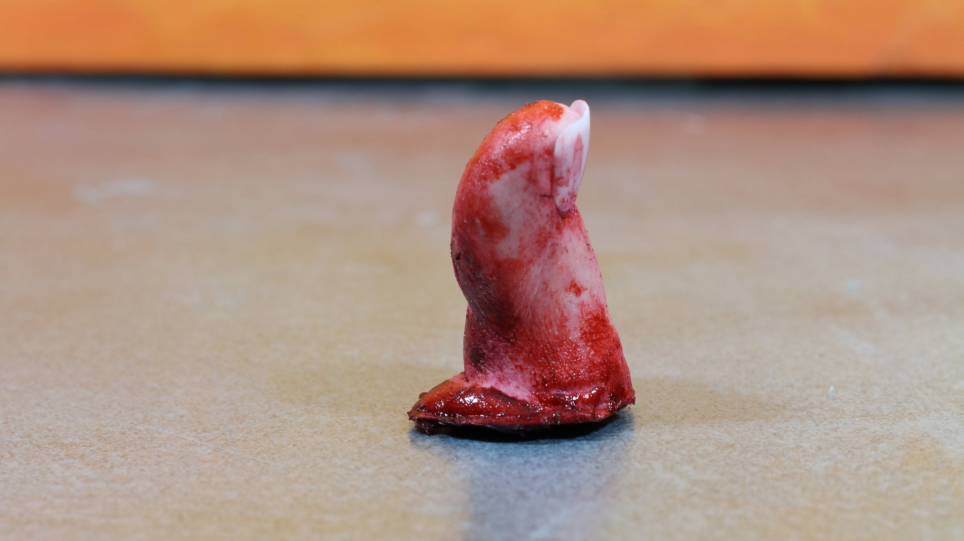 Big toe severed and bloody. Perfect Halloween decoration, creepy gift, prank or horror prop