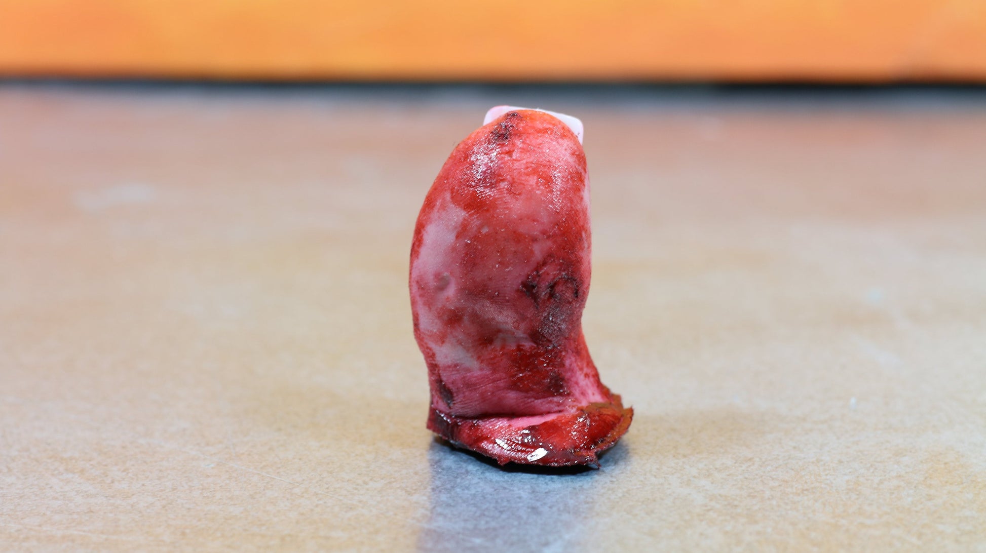 Big toe severed and bloody. Perfect Halloween decoration, creepy gift, prank or horror prop