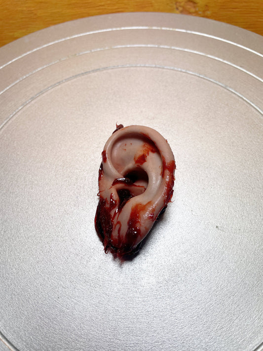 Bloody severed ear. Great for Halloween decoration, haunted house prop or horror prop