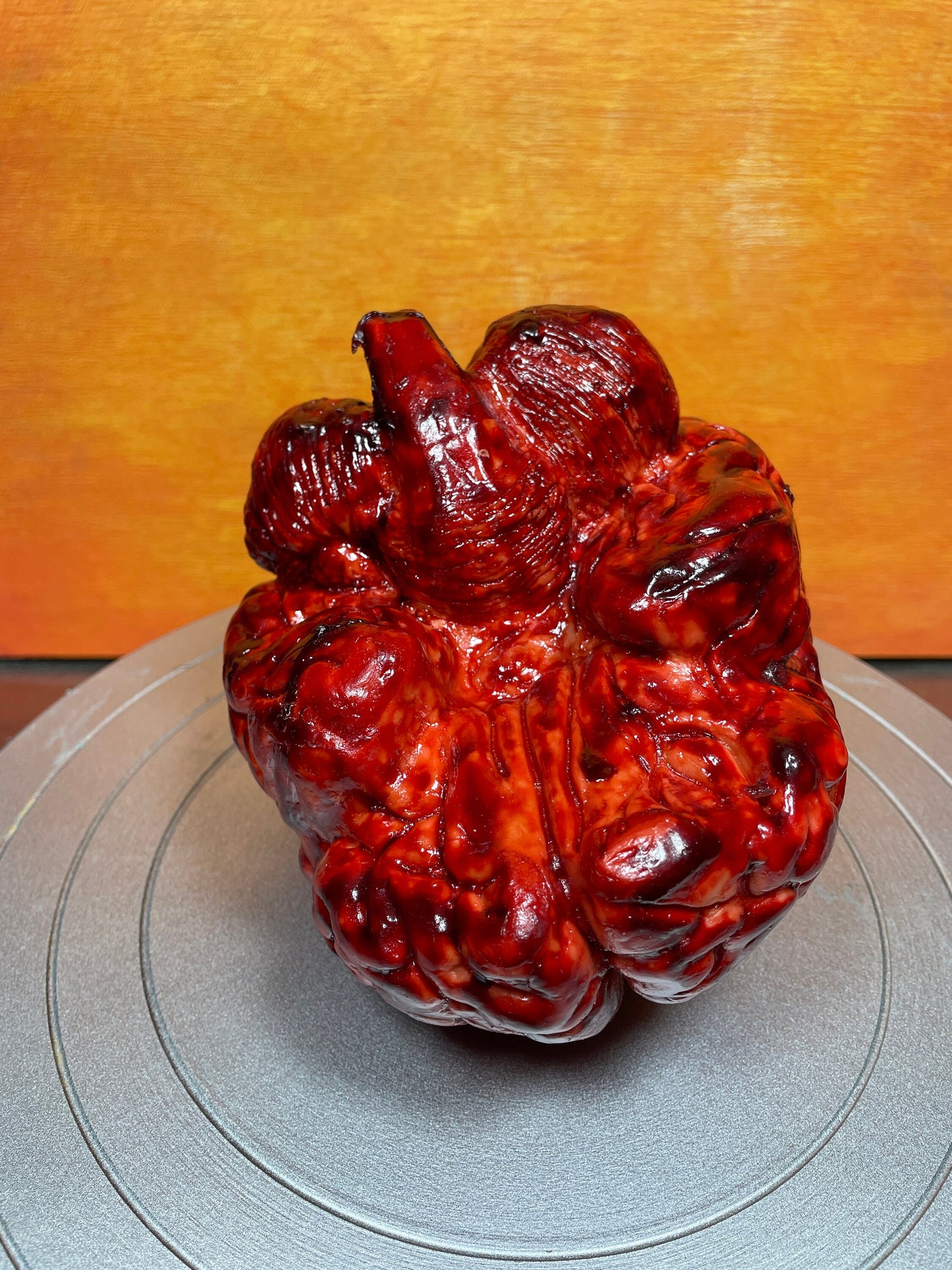 Bloody human brain Halloween prop, realistic & life size. Perfect as gory halloween prop, horror film or haunted house set decoration