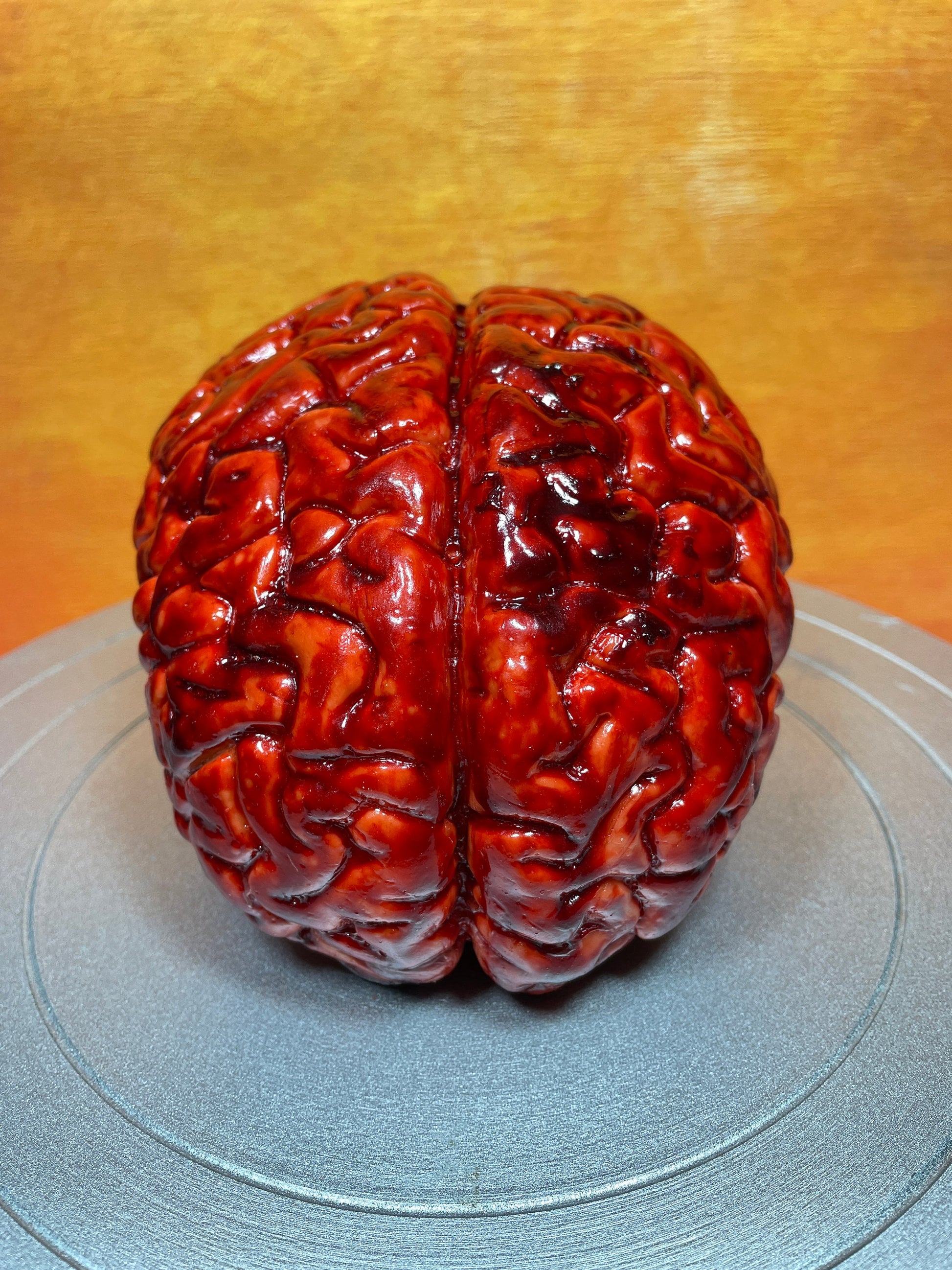 Bloody human brain Halloween prop, realistic & life size. Perfect as gory halloween prop, horror film or haunted house set decoration