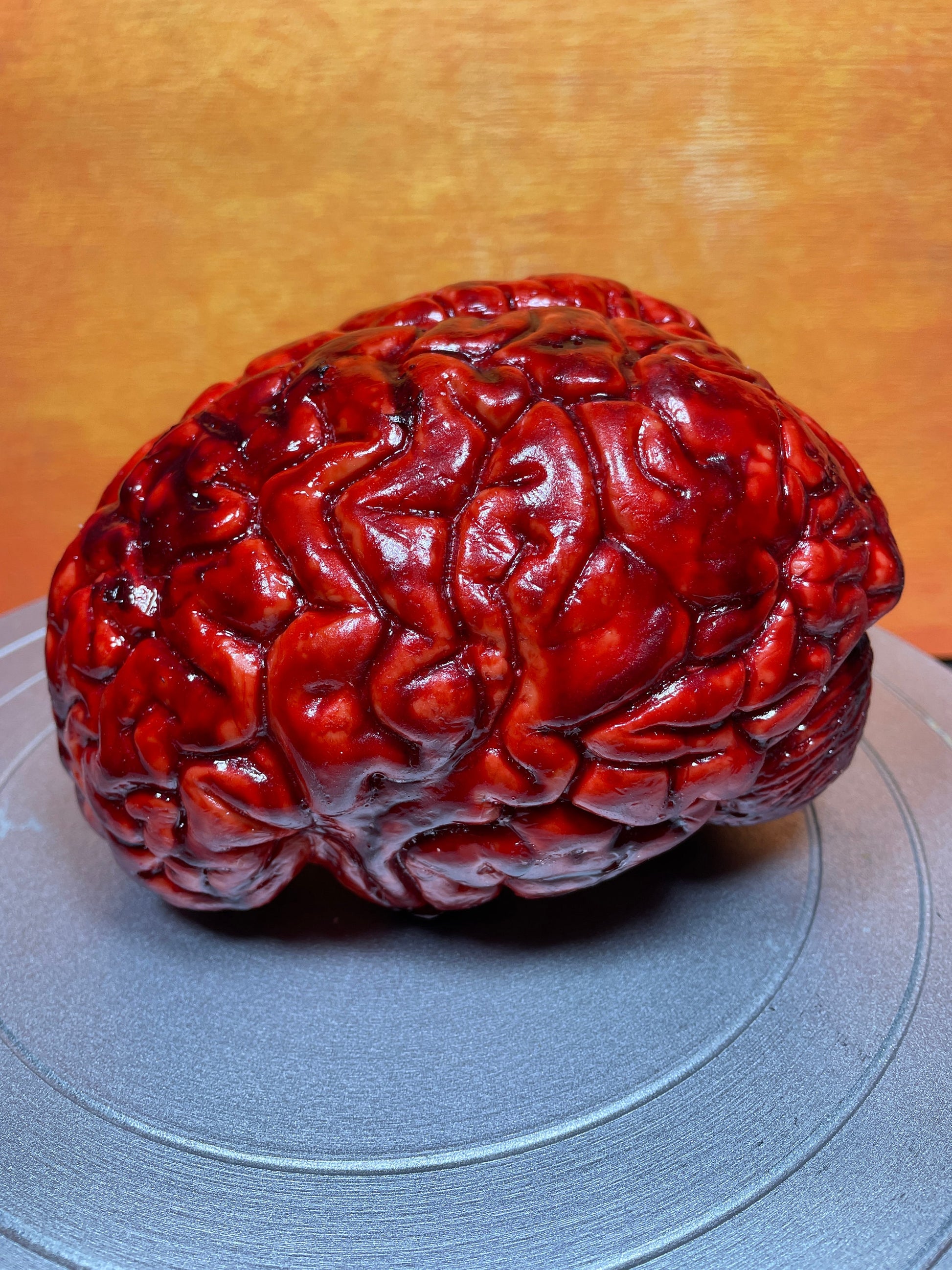 Bloody human brain Halloween prop, realistic & life size. Perfect as gory halloween prop, horror film or haunted house set decoration