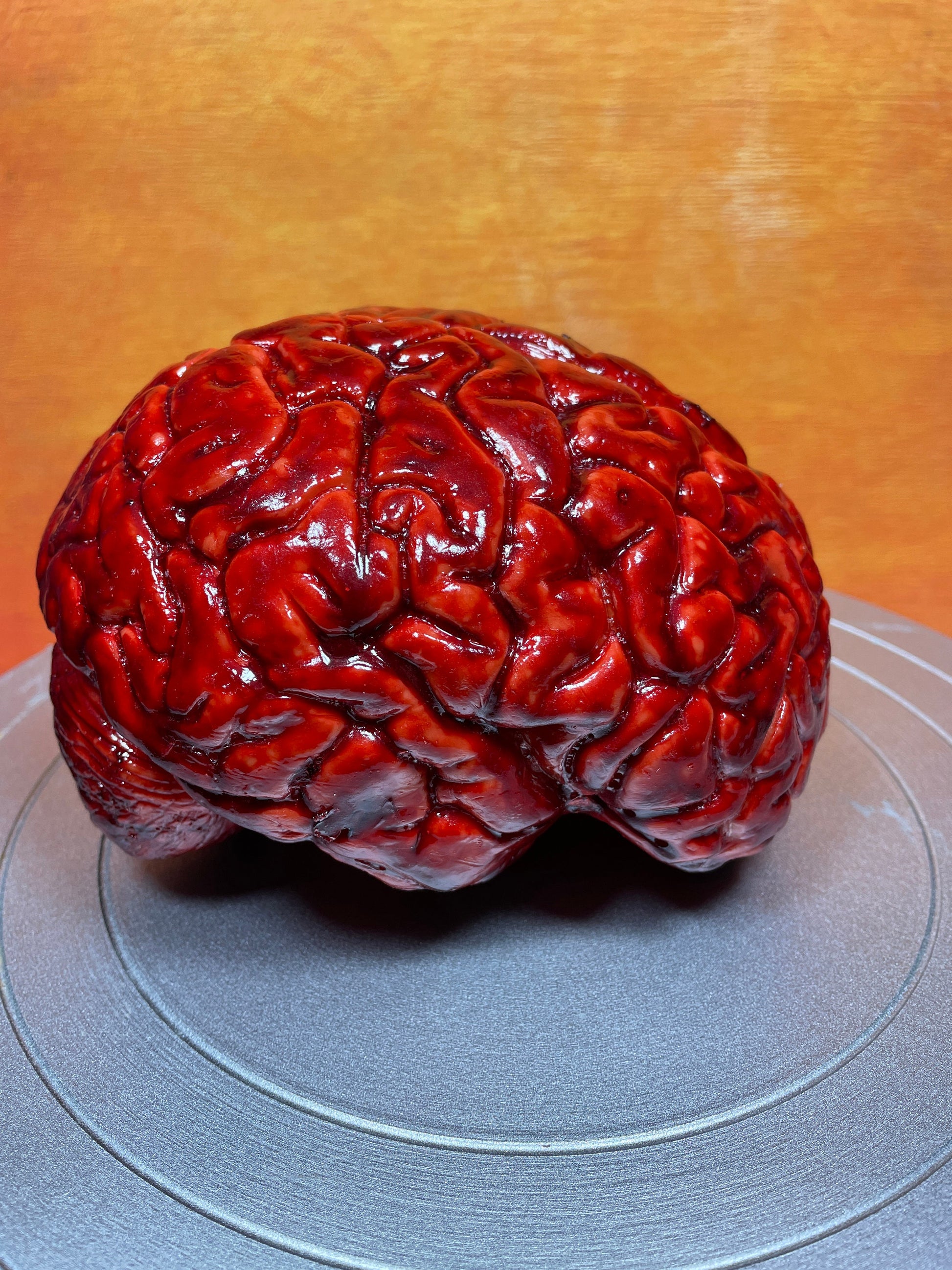 Bloody human brain Halloween prop, realistic & life size. Perfect as gory halloween prop, horror film or haunted house set decoration