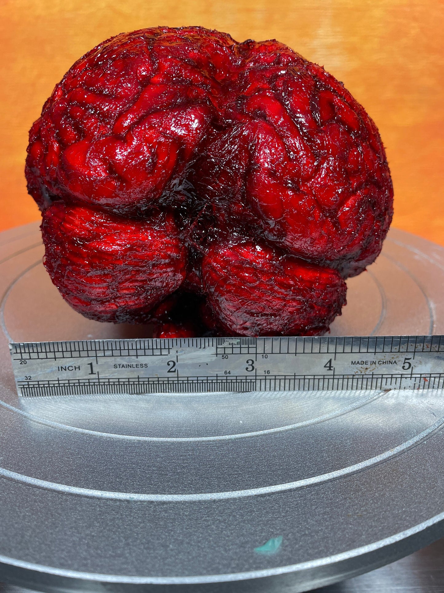 Bloody human brain Halloween prop, realistic & life size. Perfect as gory halloween prop, horror film or haunted house set decoration