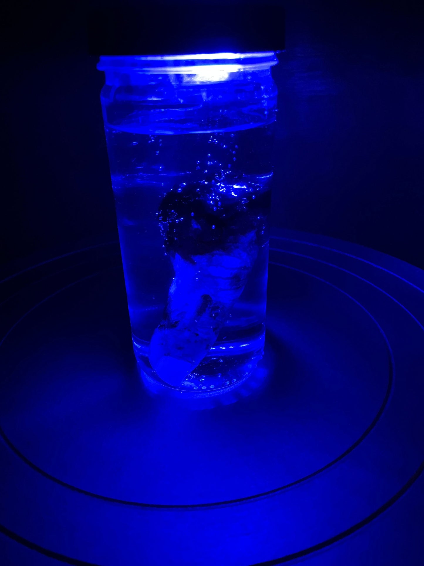 Wet Specimen Severed Finger in Jar. Lights up! No liquids. Great for Halloween, Haunted House, Horror Scenes, Horror props