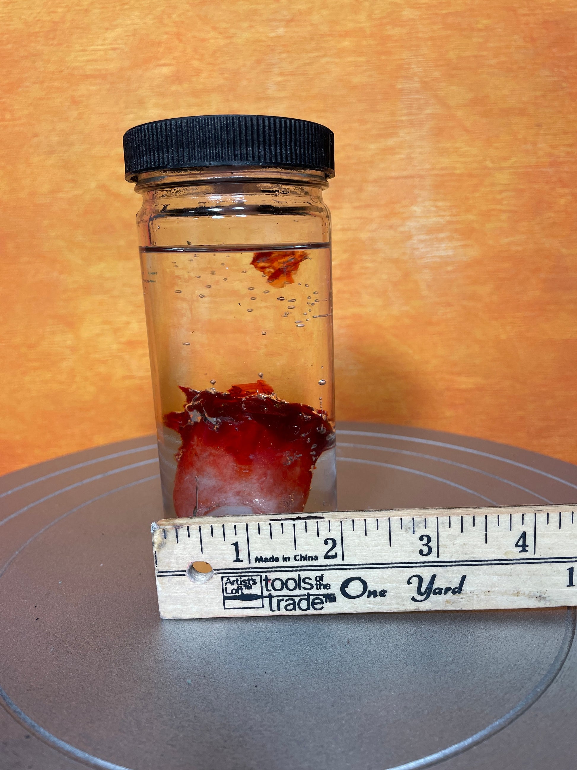 Wet Specimen Severed Toe in Jar. Lights up! No liquids. Great for Halloween, Haunted House, Horror Scenes, Horror props