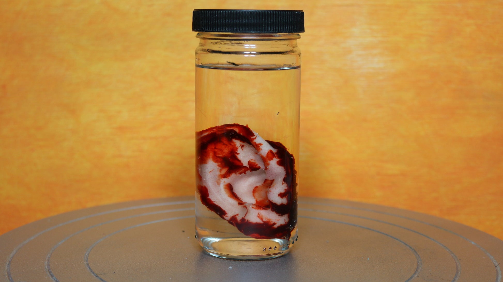 Wet Specimen Severed Ear in Jar. Lights up! No liquids. Great for Halloween, Haunted House, Horror Scenes, Horror props