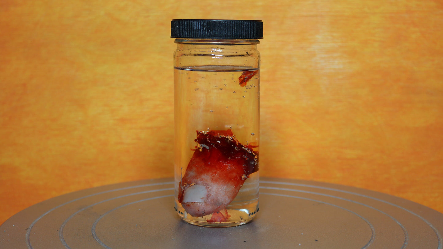 Wet Specimen Severed Toe in Jar. Lights up! No liquids. Great for Halloween, Haunted House, Horror Scenes, Horror props