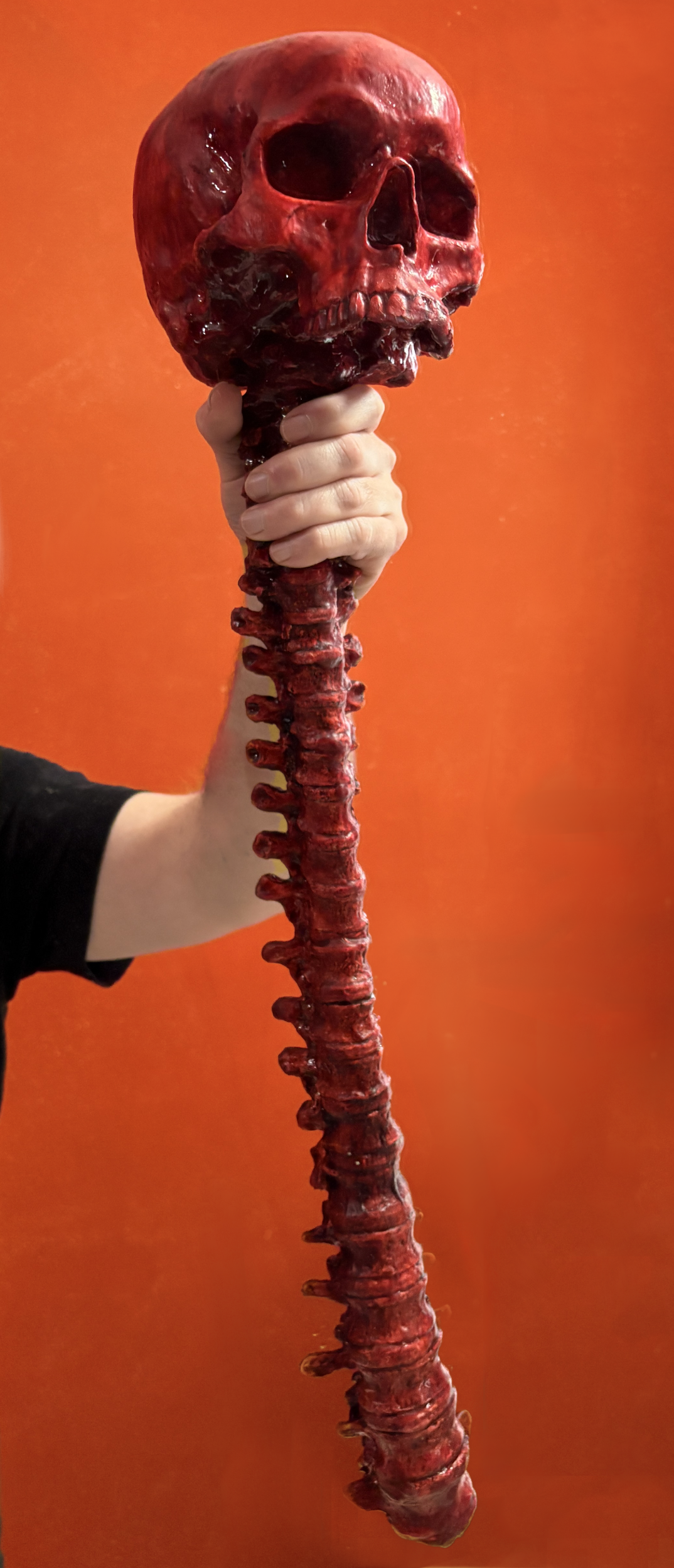 Bloody human skull with spine - life size - Halloween prop