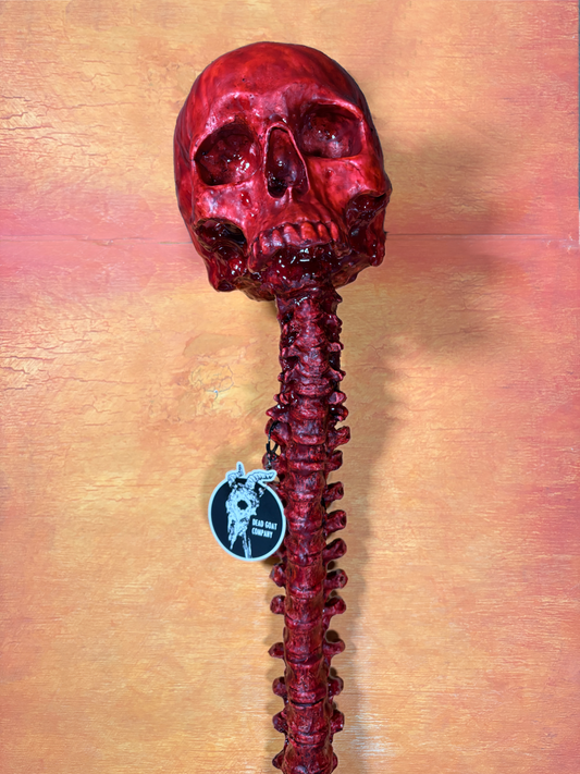 Bloody human skull with spine - life size - Halloween prop