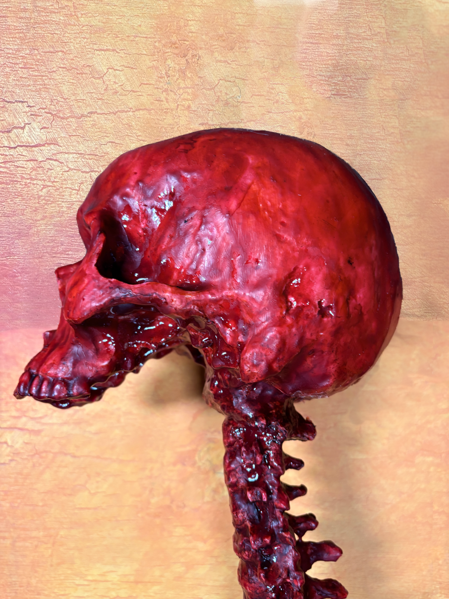 Bloody human skull with spine - life size - Halloween prop