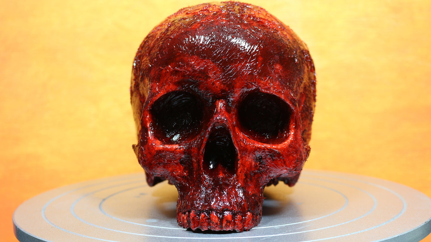 Life size bloody human skull. Great halloween decoration, haunted house prop or horror prop - Dead Goat Company