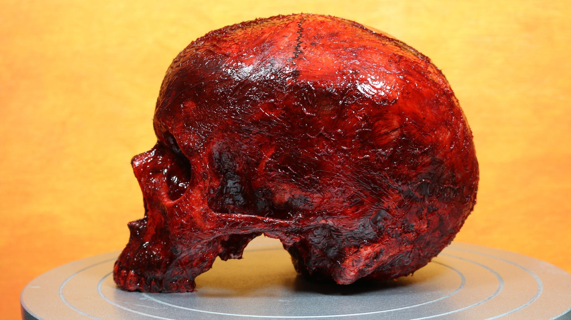 Life size bloody human skull. Great halloween decoration, haunted house prop or horror prop - Dead Goat Company