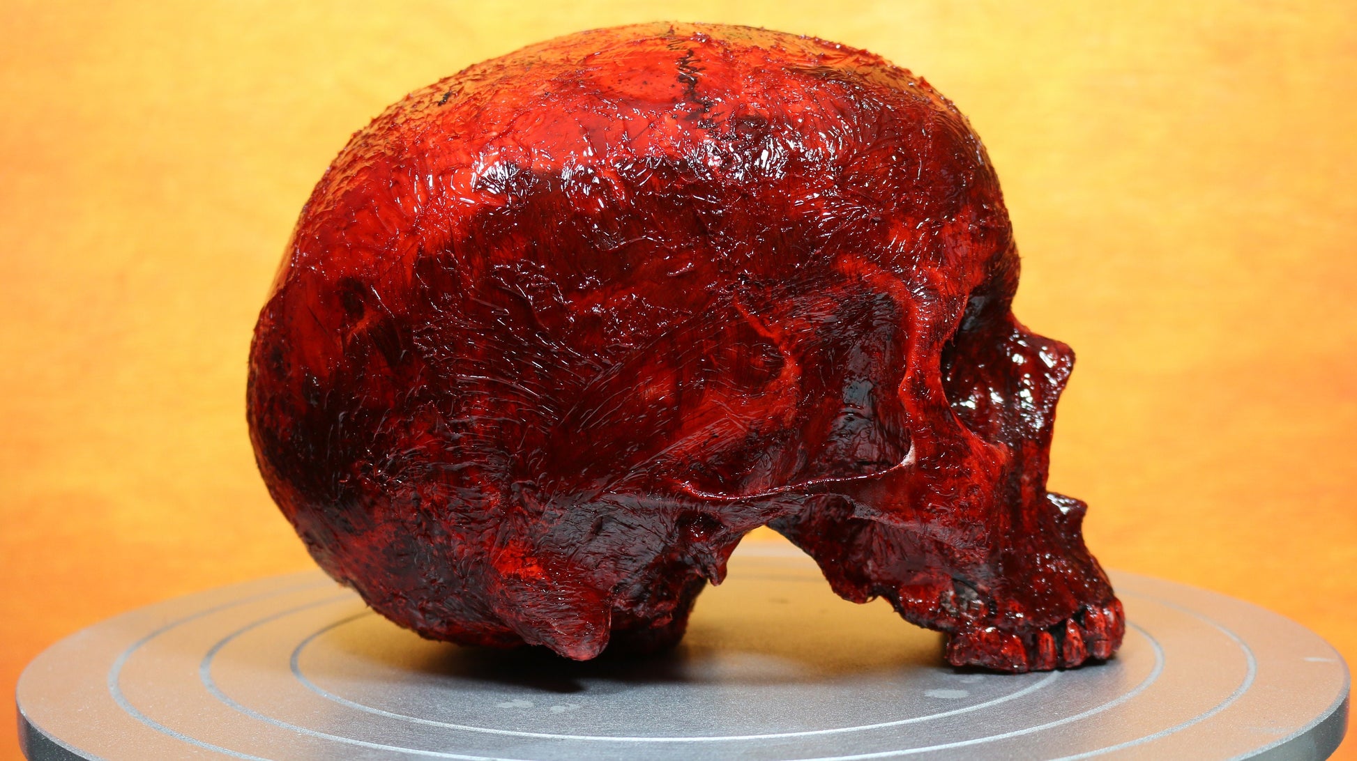 Life size bloody human skull. Great halloween decoration, haunted house prop or horror prop - Dead Goat Company